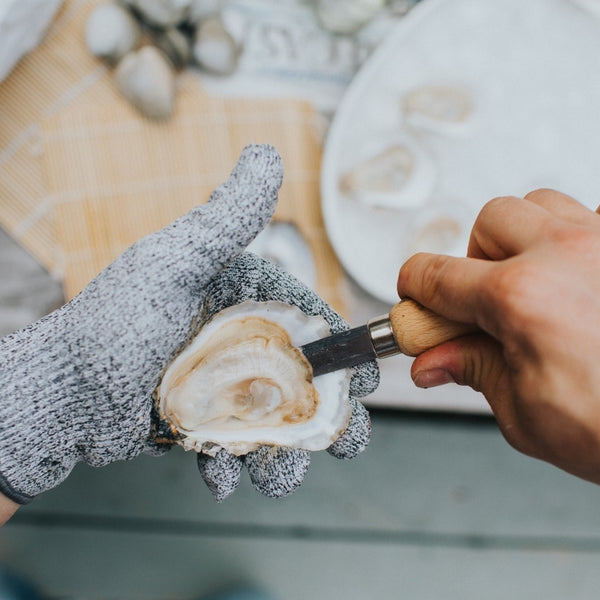 Oyster Shucking Gloves: The Pros Wear them [and you should too]