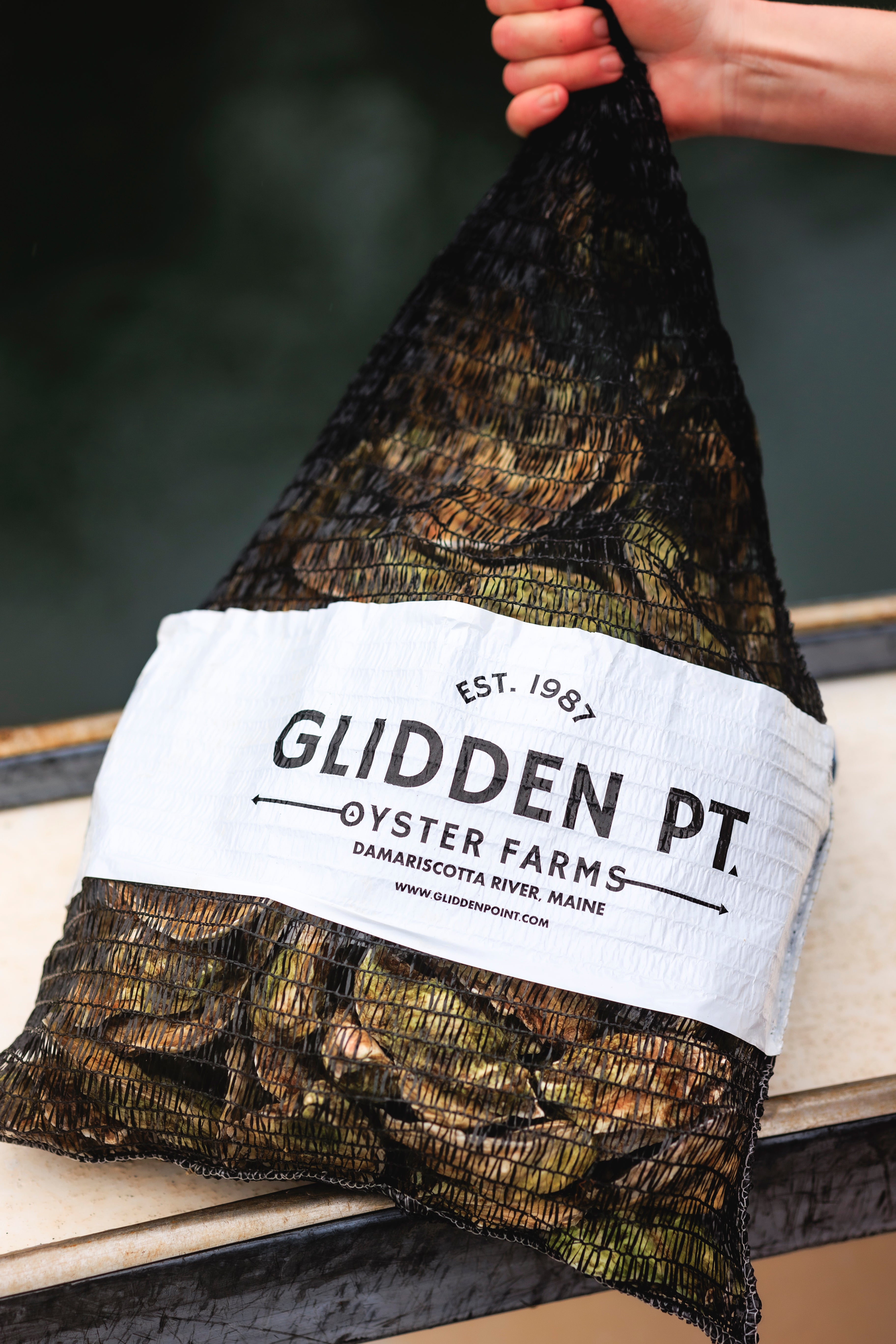 GLIDDEN POINT OYSTER FARMS