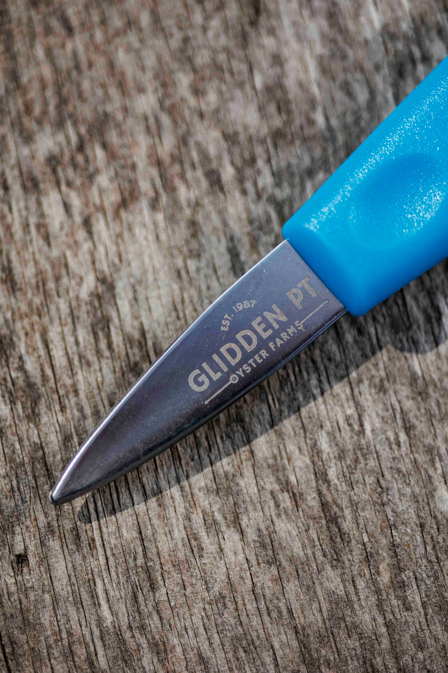 Glidden Point Blue Oyster Knife