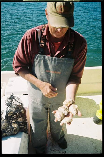 Pleasant Cove Oysters