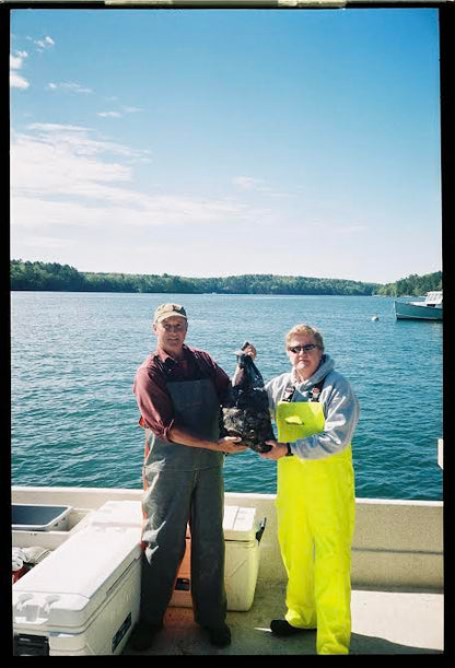 Pleasant Cove Oysters