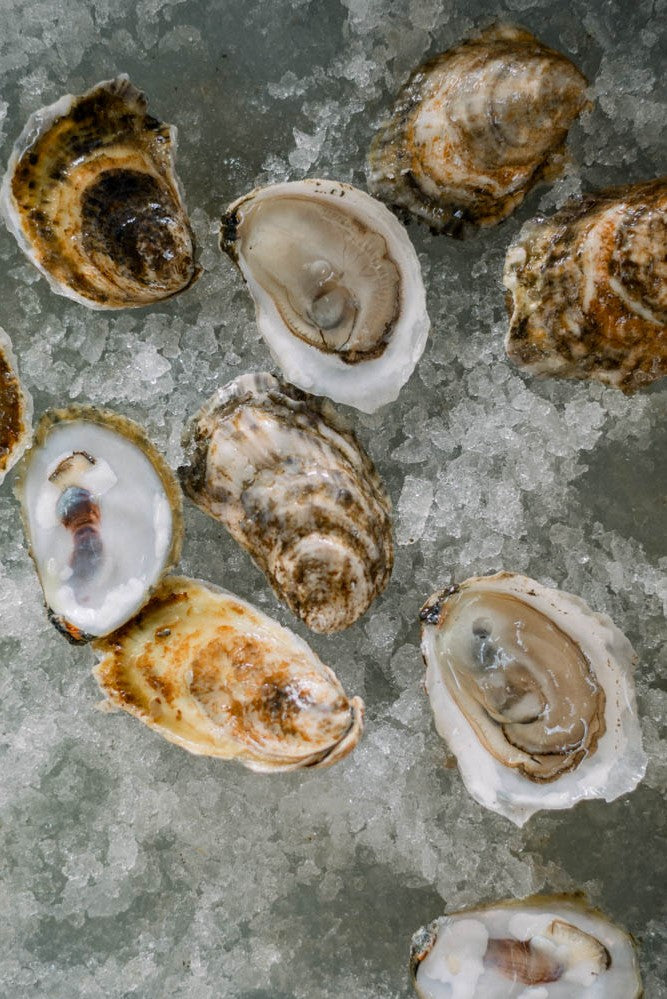 Heafitz Farm Oysters