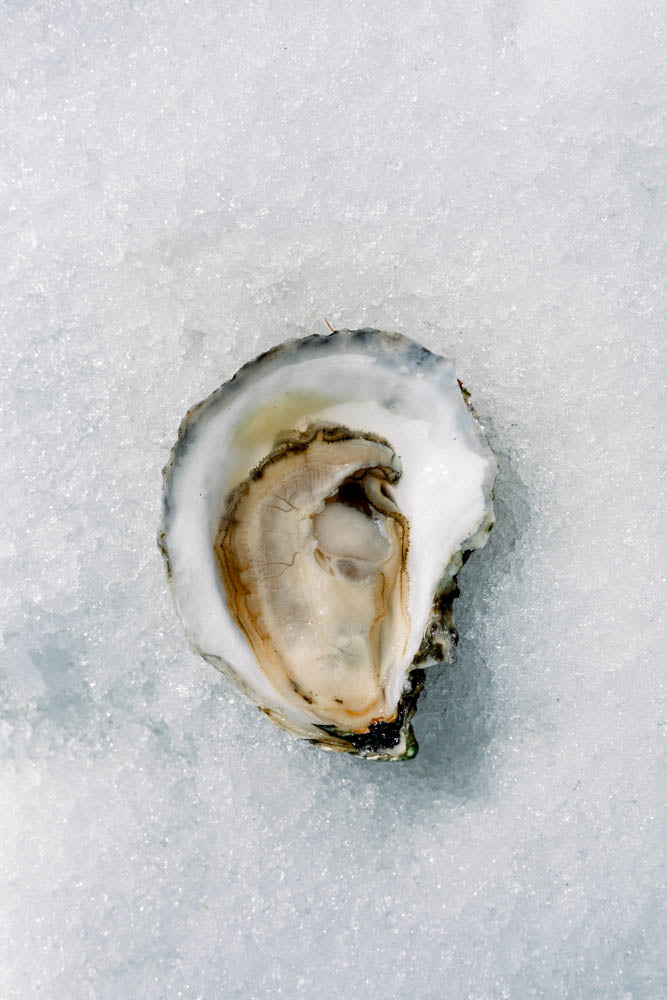 Heafitz Farm Oysters