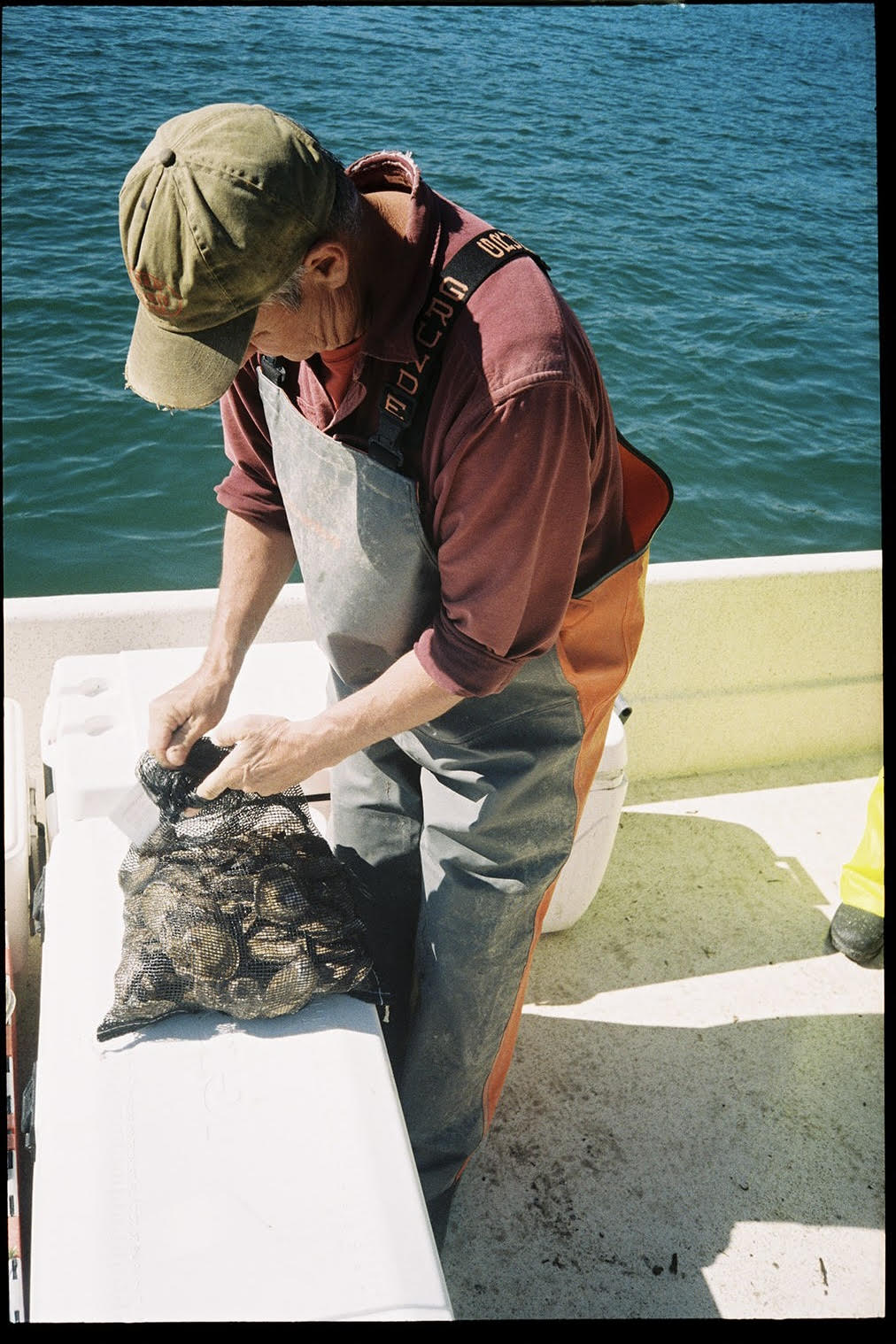 Pleasant Cove Oysters