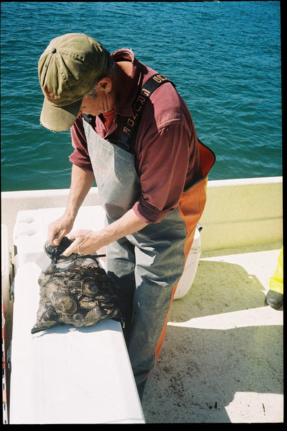 Pleasant Cove Oysters